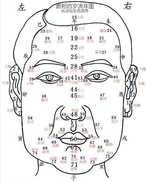 面相年龄图